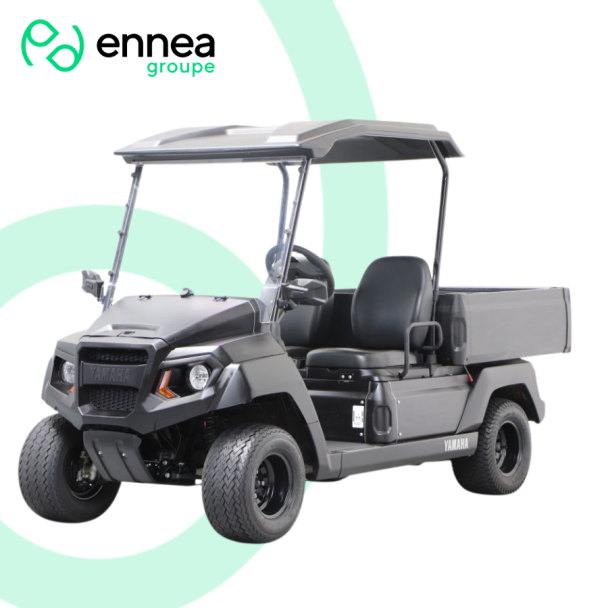 Voiturette de Golf  d'occasion  Yamaha YUM2E20